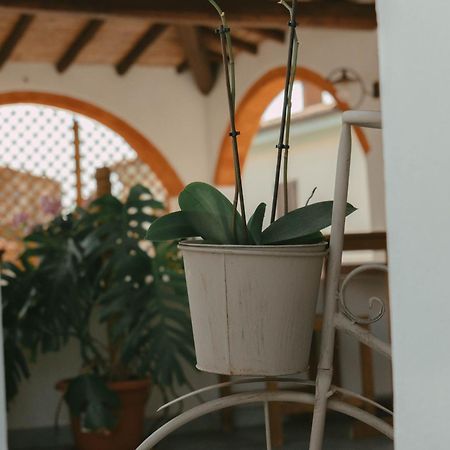 Domu Elvira Hotel Muravera Bagian luar foto